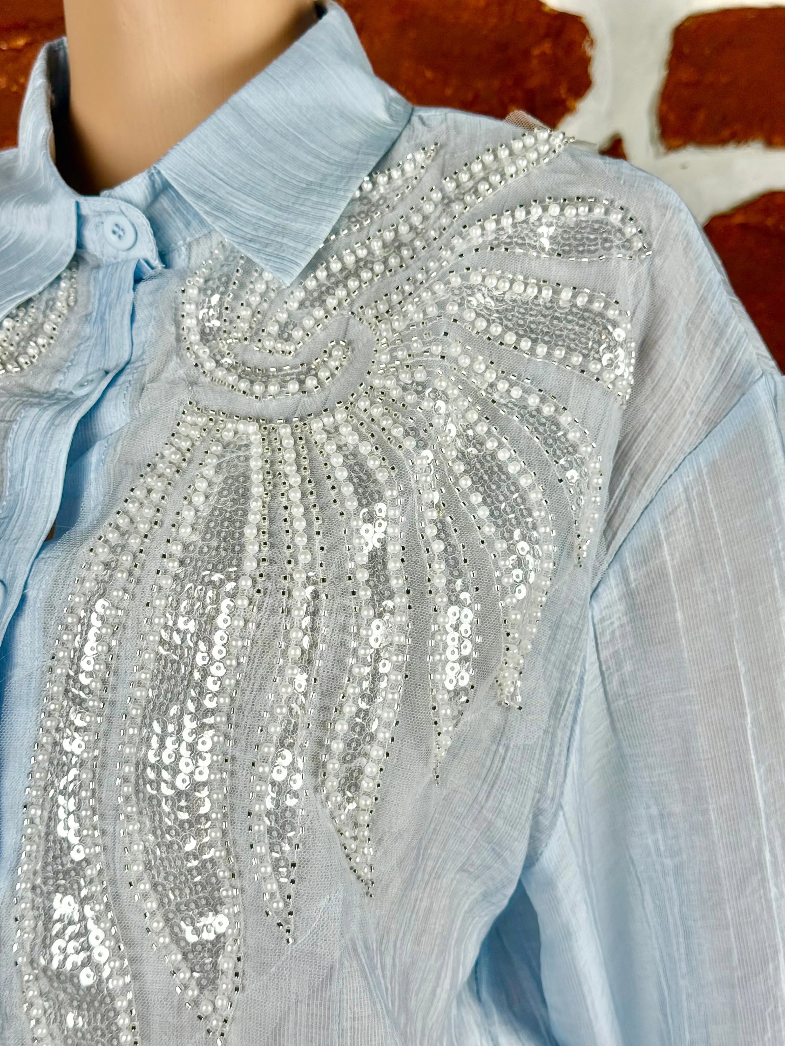 Light Blue Top - Pure Muslin Embellished RAADVI