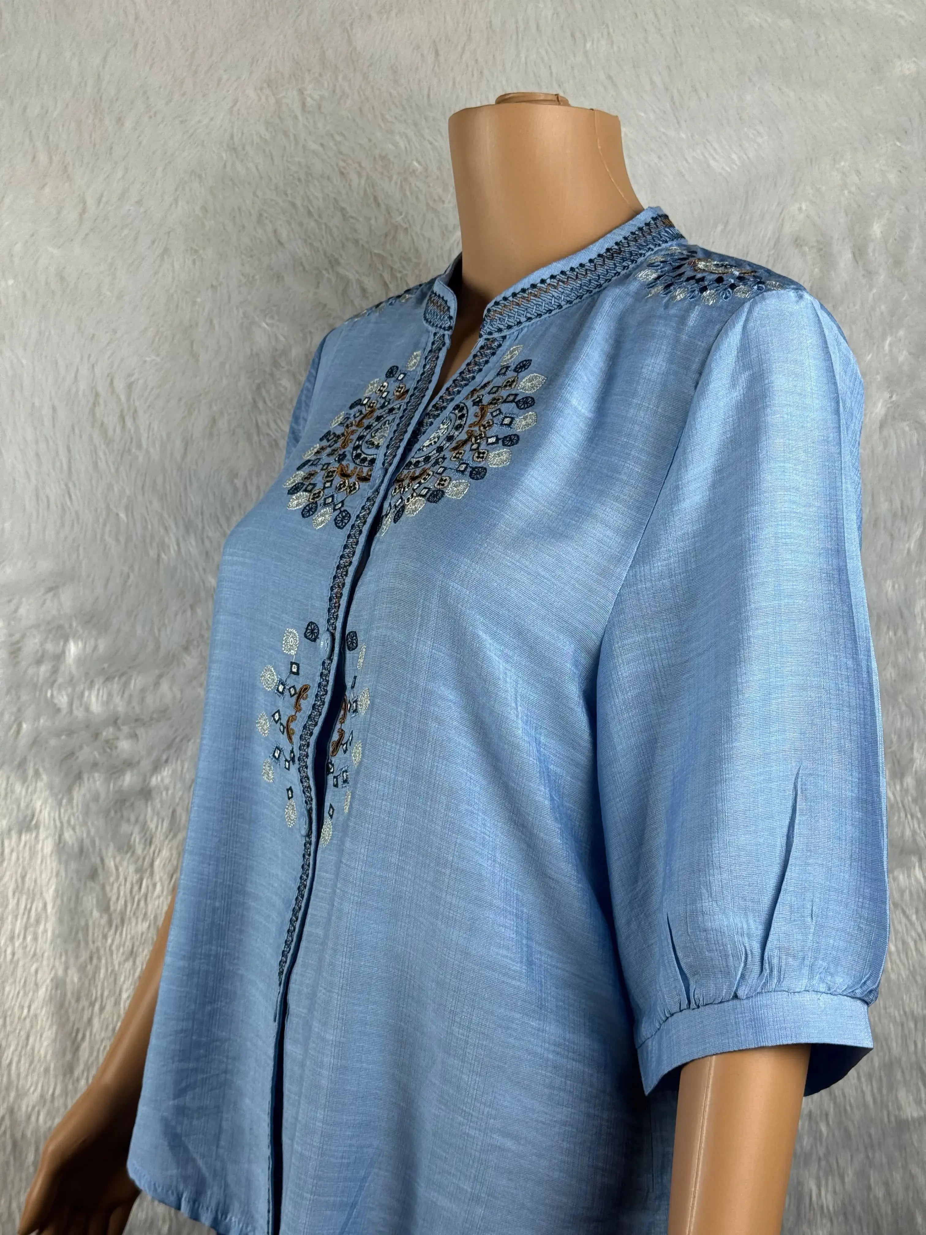 Sky Blue Embroidered  Top RAADVI