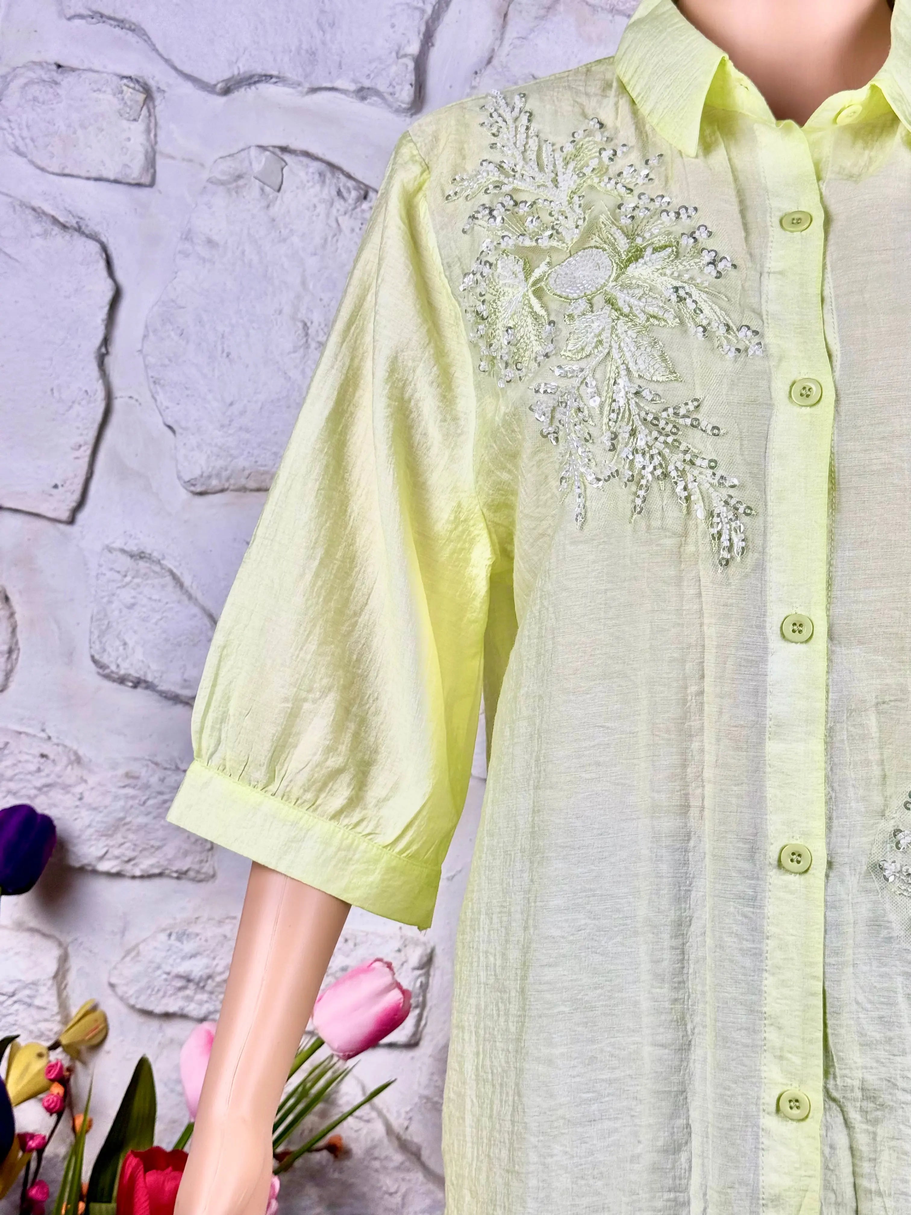 Pastel Green Muslin Top - Embellished RAADVI